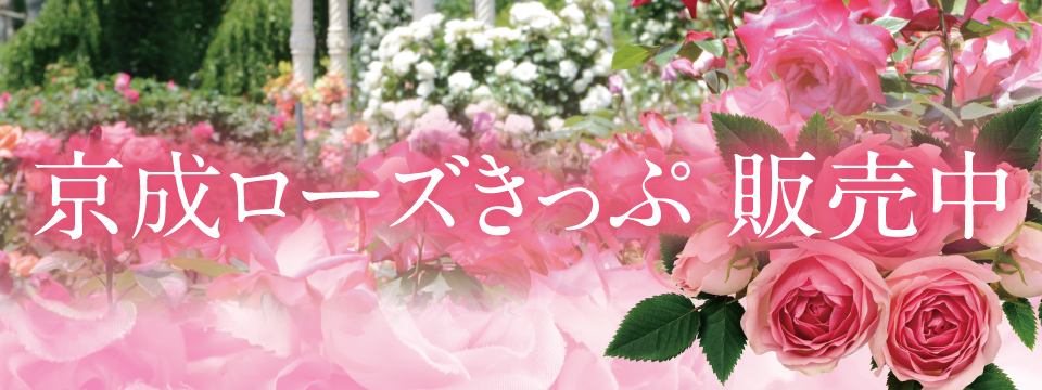 京成ローズきっぷ 春